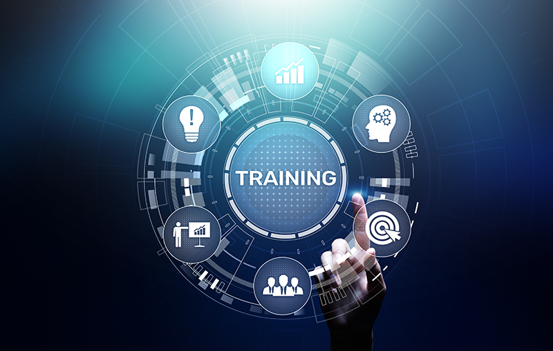 Training Development / Training Delivery