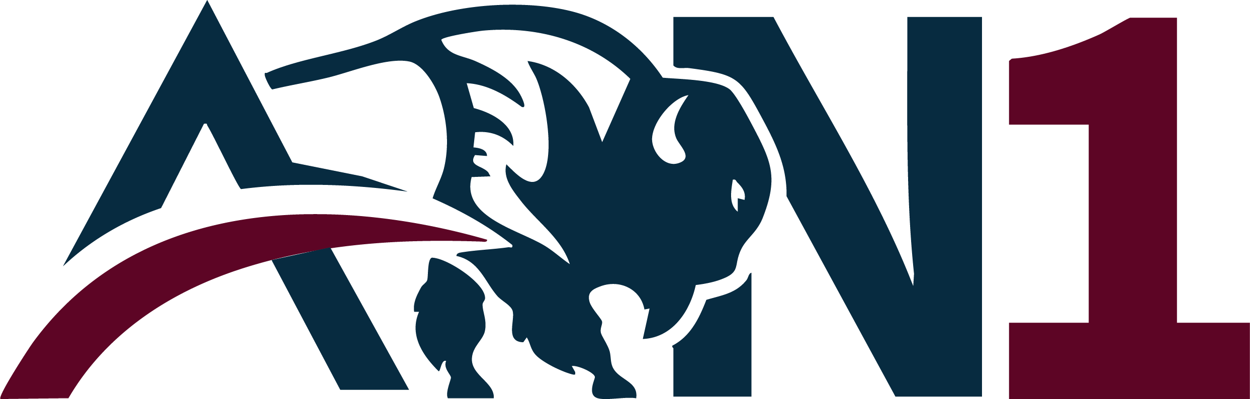 All Native One Logo JV Logo